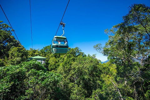 Skyrail Rainforest Cableway Day Trip From Cairns - Tourism Hervey Bay 1