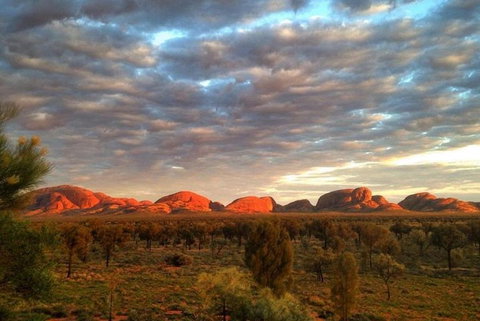 5-Hour Kata Tjuta Sunrise Tour From Ayers Rock With Breakfast - Hervey Bay Accommodation 1