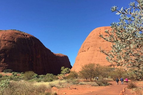 5-Hour Kata Tjuta Sunrise Tour From Ayers Rock With Breakfast - Hervey Bay Accommodation 4