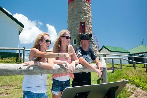 Full-Day Moreton Island 4x4 Sightseeing Tour - Hervey Bay Accommodation 3