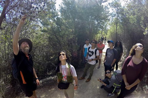 Active Day Tour One-Way From Launceston To Hobart Via Wineglass Bay - Tourism Hervey Bay 0
