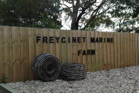 Active Day Tour One-Way From Launceston To Hobart Via Wineglass Bay - Tourism Hervey Bay 3