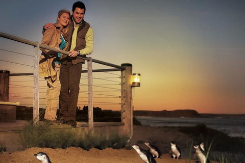 The Ultimate Melbourne Attractions Pass - Tourism Hervey Bay 3