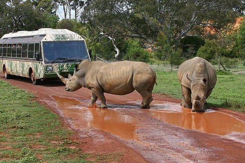 The Ultimate Melbourne Attractions Pass - Tourism Hervey Bay 4