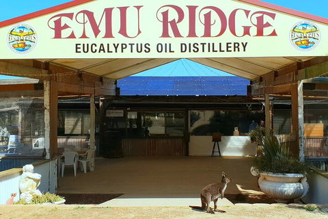 2-Day Kangaroo Island Safari From Adelaide - Hervey Bay Accommodation 4