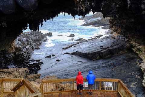 2-Day Kangaroo Island Safari From Adelaide - Hervey Bay Accommodation 5