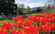 Hobart City Sightseeing Tour Including MONA Admission - thumb 4