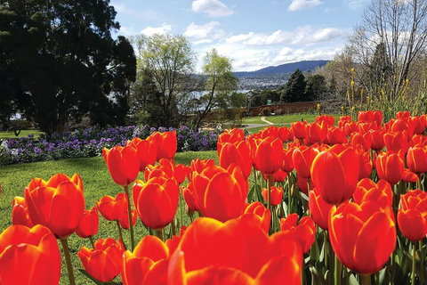 Hobart City Sightseeing Tour Including MONA Admission - Hervey Bay Accommodation 4