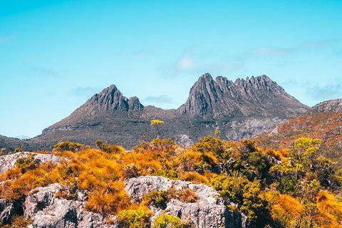 Cradle Mountain National Park Day Tour From Launceston - Hervey Bay Accommodation 1