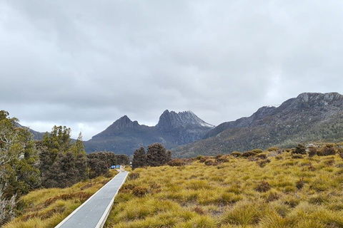 Cradle Mountain National Park Day Tour From Launceston - Hervey Bay Accommodation 2