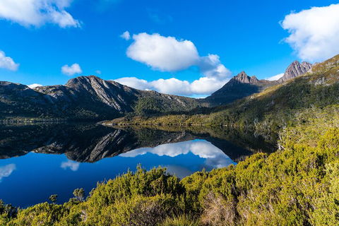 Cradle Mountain National Park Day Tour From Launceston - Hervey Bay Accommodation 3