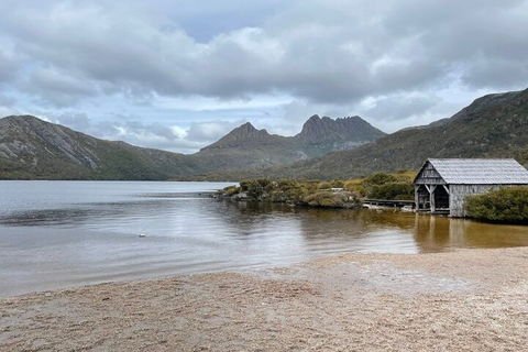 Cradle Mountain National Park Day Tour From Launceston - Hervey Bay Accommodation 4