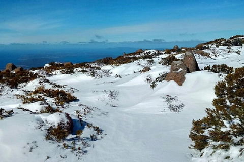 Mt Wellington Ultimate Experience Tour From Hobart - Tourism Hervey Bay 4