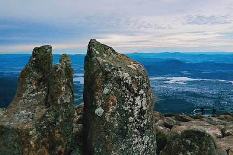 Mt Wellington Tour And MONA Admission - Hervey Bay Accommodation 2
