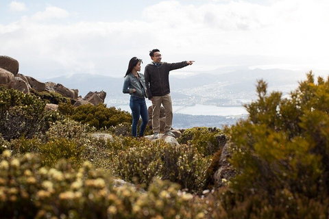 Mt Wellington Tour And MONA Admission - Hervey Bay Accommodation 5