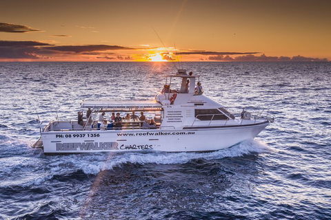 Kalbarri Sunset Coastal Cliff Cruise - Hervey Bay Accommodation 2