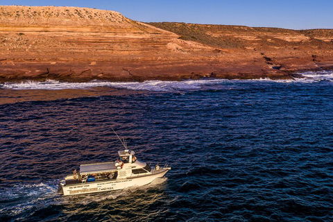 Kalbarri Sunset Coastal Cliff Cruise - Hervey Bay Accommodation 4