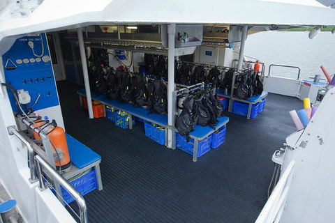 Silverswift Outer Great Barrier Reef Dive And Snorkel Cruise From Cairns - Tourism Hervey Bay 0
