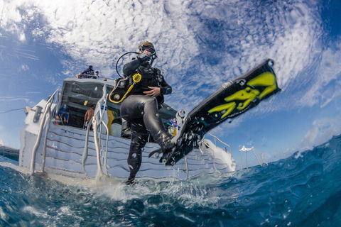Silverswift Outer Great Barrier Reef Dive And Snorkel Cruise From Cairns - Tourism Hervey Bay 1