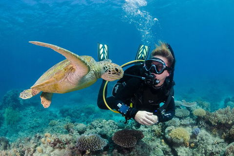 Silverswift Outer Great Barrier Reef Dive And Snorkel Cruise From Cairns - Tourism Hervey Bay 2