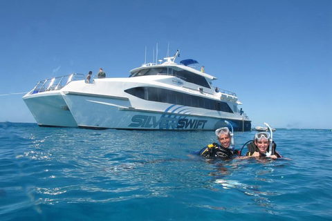 Silverswift Outer Great Barrier Reef Dive And Snorkel Cruise From Cairns - Tourism Hervey Bay 4