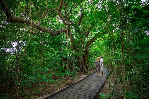 Green Island Day Trip Including Seawalker Helmet Dive COMBO - Hervey Bay Accommodation 1