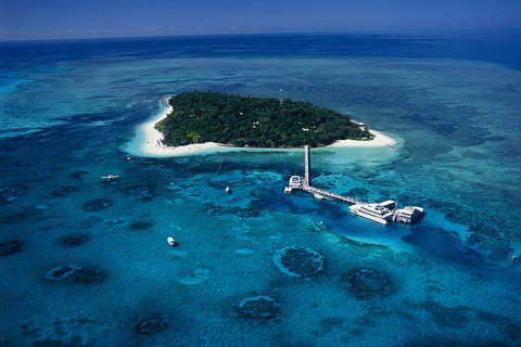 Green Island Day Trip Including Seawalker Helmet Dive COMBO - Hervey Bay Accommodation 5