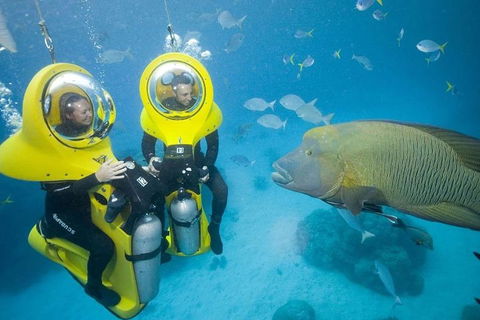 Great Barrier Reef Adventure From Cairns - Hervey Bay Accommodation 2