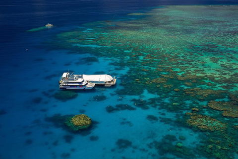 Great Barrier Reef Adventure From Cairns - Hervey Bay Accommodation 4