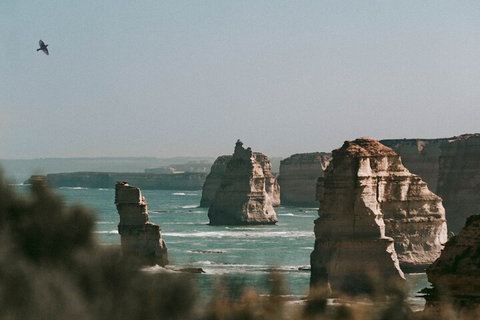 Half-Day Or Full-Day Tour With Private Guide From Melbourne - Hervey Bay Accommodation 0