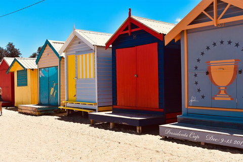 Half-Day Or Full-Day Tour With Private Guide From Melbourne - Hervey Bay Accommodation 3