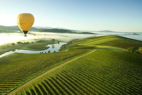 Half-Day Or Full-Day Tour With Private Guide From Melbourne - Hervey Bay Accommodation 4