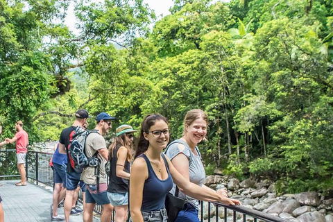 Cape Tribulation, Mossman Gorge, And Daintree Rainforest Day Trip From Cairns Or Port Douglas - Hervey Bay Accommodation 0