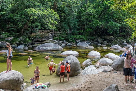 Cape Tribulation, Mossman Gorge, And Daintree Rainforest Day Trip From Cairns Or Port Douglas - Hervey Bay Accommodation 1