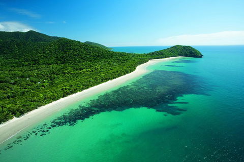 Cape Tribulation, Mossman Gorge, And Daintree Rainforest Day Trip From Cairns Or Port Douglas - Hervey Bay Accommodation 2