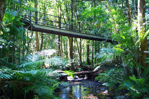 Cape Tribulation, Mossman Gorge, And Daintree Rainforest Day Trip From Cairns Or Port Douglas - Hervey Bay Accommodation 3