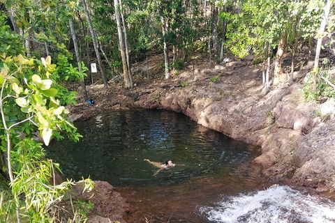 One Day Litchfield Park Adventures - Hervey Bay Accommodation 2