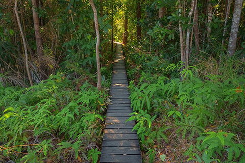 One Day Litchfield Park Adventures - Hervey Bay Accommodation 4