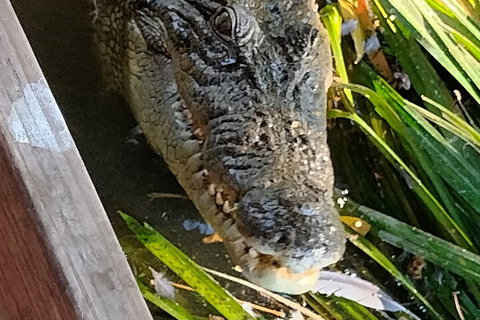 Litchfield Park Adventures And Jumping Crocodile Cruise + Butterfly Farm - Tourism Hervey Bay 1