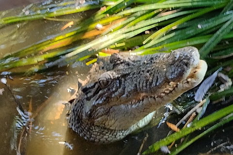 Litchfield Park Adventures And Jumping Crocodile Cruise + Butterfly Farm - Tourism Hervey Bay 4