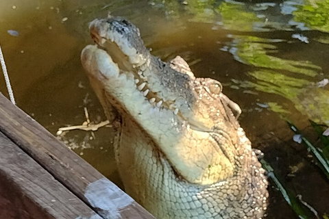 Litchfield Park Adventures And Jumping Crocodile Cruise + Butterfly Farm - Tourism Hervey Bay 5
