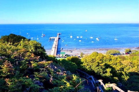 Mornington Peninsula Sightseeing Tour For 2-6 Guests. - Tourism Hervey Bay 1