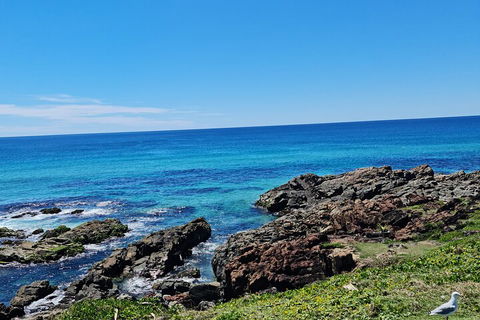 Private Custom Byron Bay Day Out - Tourism Hervey Bay 4