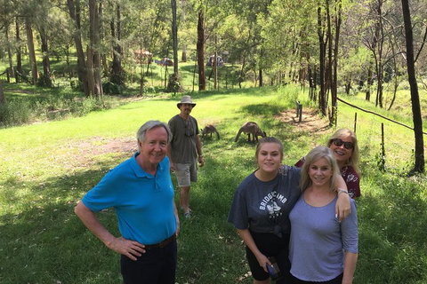 Small Group Blue Mountains Day Tour From Sydney - Hervey Bay Accommodation 1