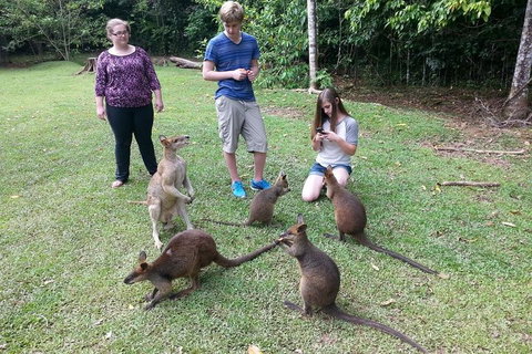 Small Group Blue Mountains Day Tour From Sydney - Hervey Bay Accommodation 2