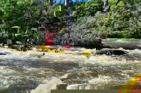 Book Viator Accommodation Vacations Tourism Hervey Bay Tourism Hervey Bay