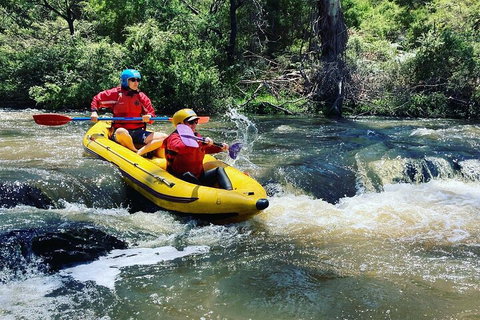 Yarra River Half-Day Rafting Experience - Hervey Bay Accommodation 4