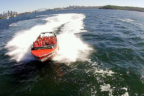 Sydney Harbour Jet Boat Thrill Ride: 30 Minutes - Hervey Bay Accommodation 0