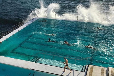 Sydney Private Tour And Sip And Sail Experience - Hervey Bay Accommodation 3