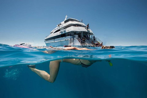 3 Day Great Barrier Reef, Daintree Rainforest And Outback Chillagoe Tour - Hervey Bay Accommodation 0